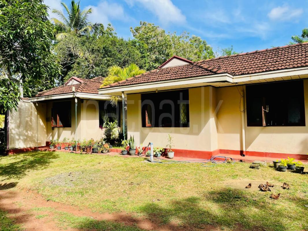 House for Sale in Dankotuwa ads-image-1