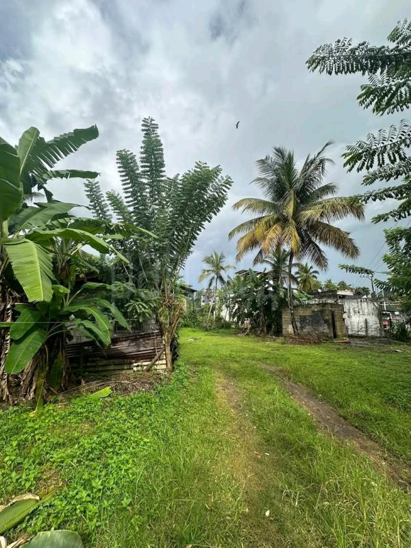 Residential Land for Sale in Pamunugama