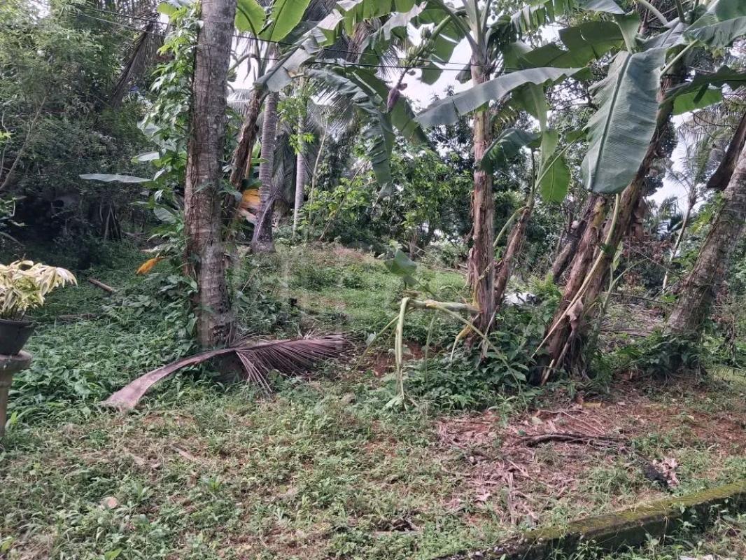 Agricultural Land for Sale in Wattala