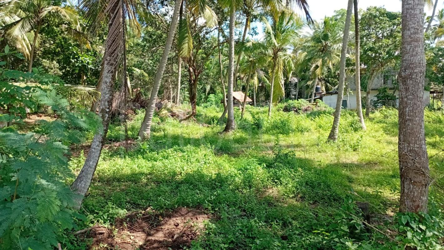 Residential Land for Sale in Weeraketiya ads-image-1