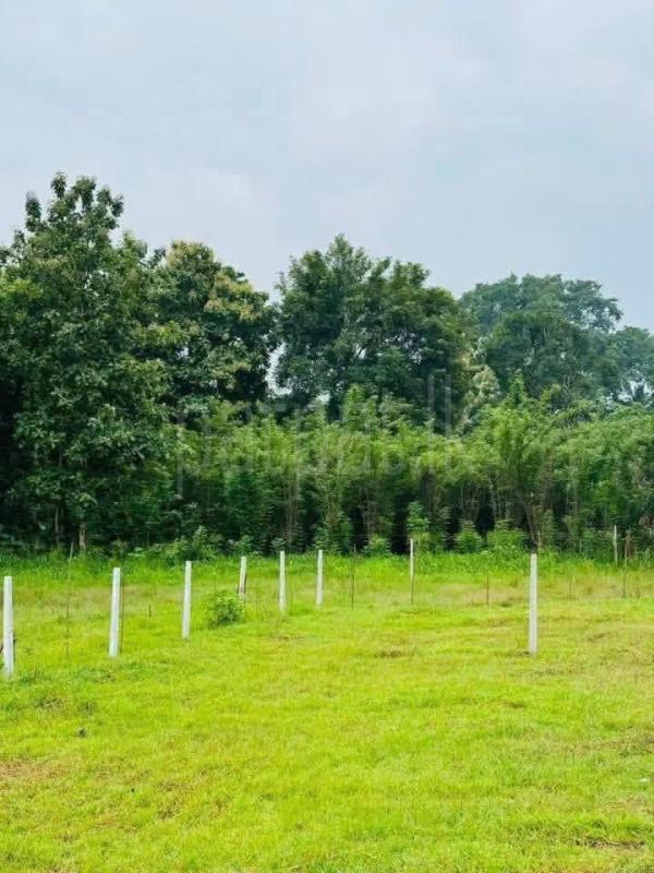 Residential Land for Sale in Mahiyanganaya