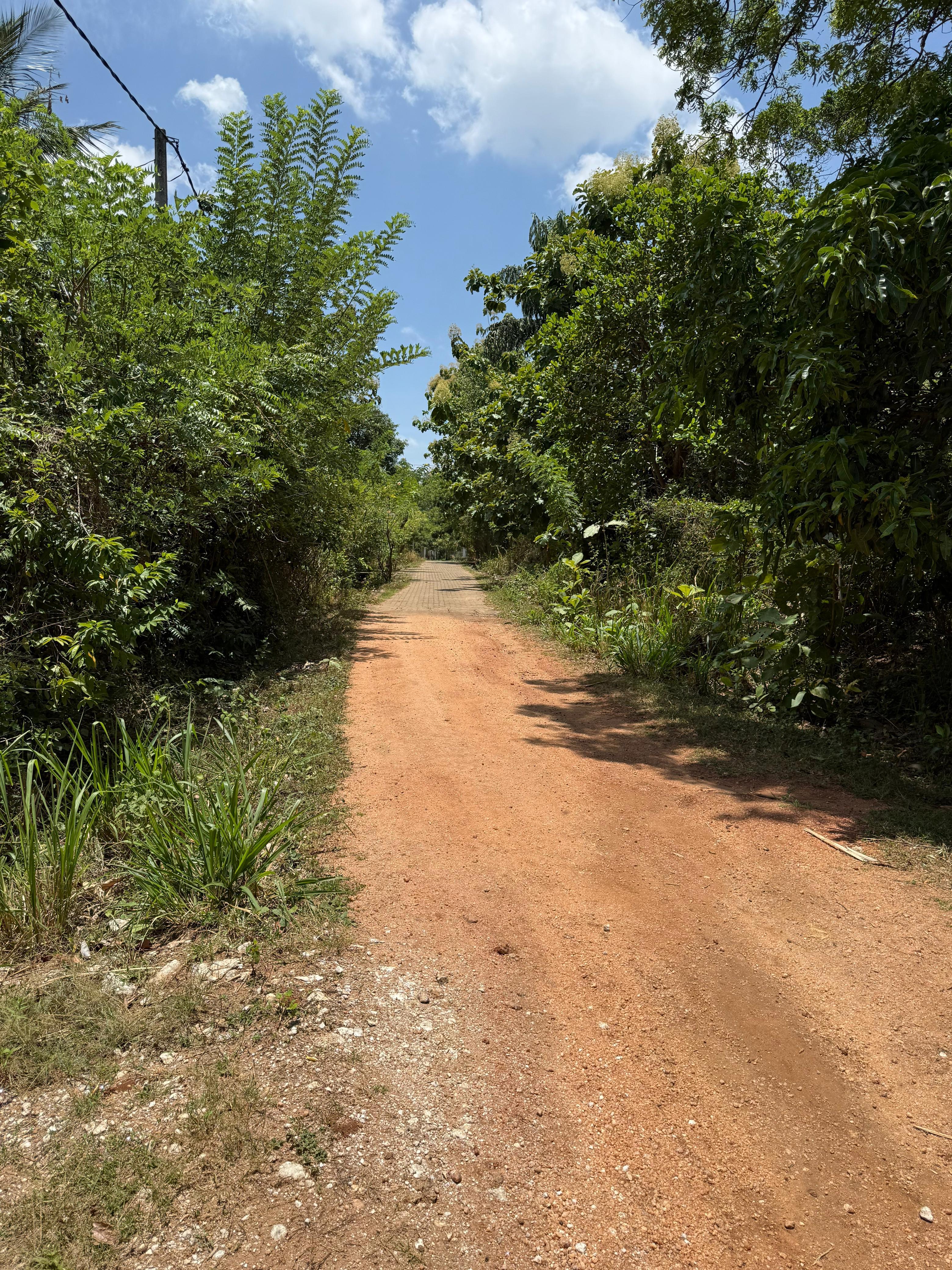 Residential Land for Sale in Lenadora