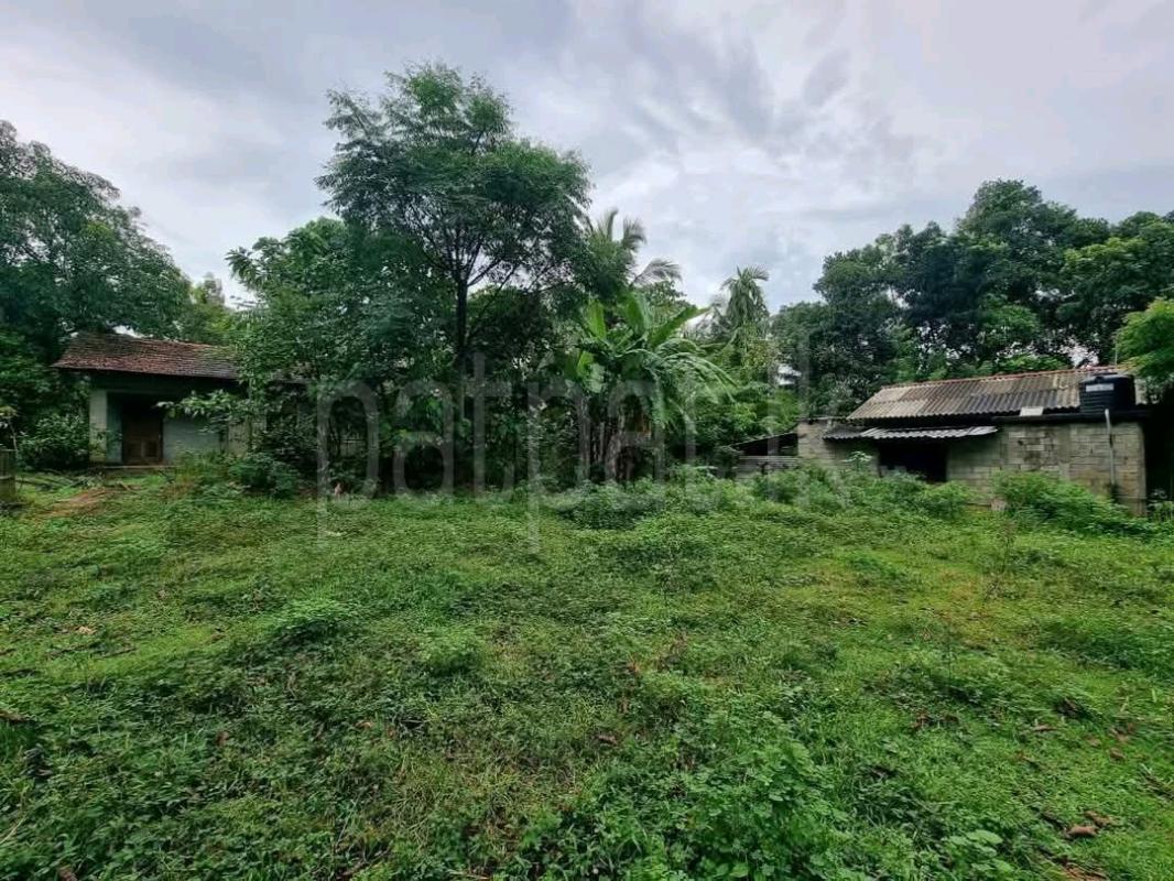 Residential Land for Sale in Mirigama