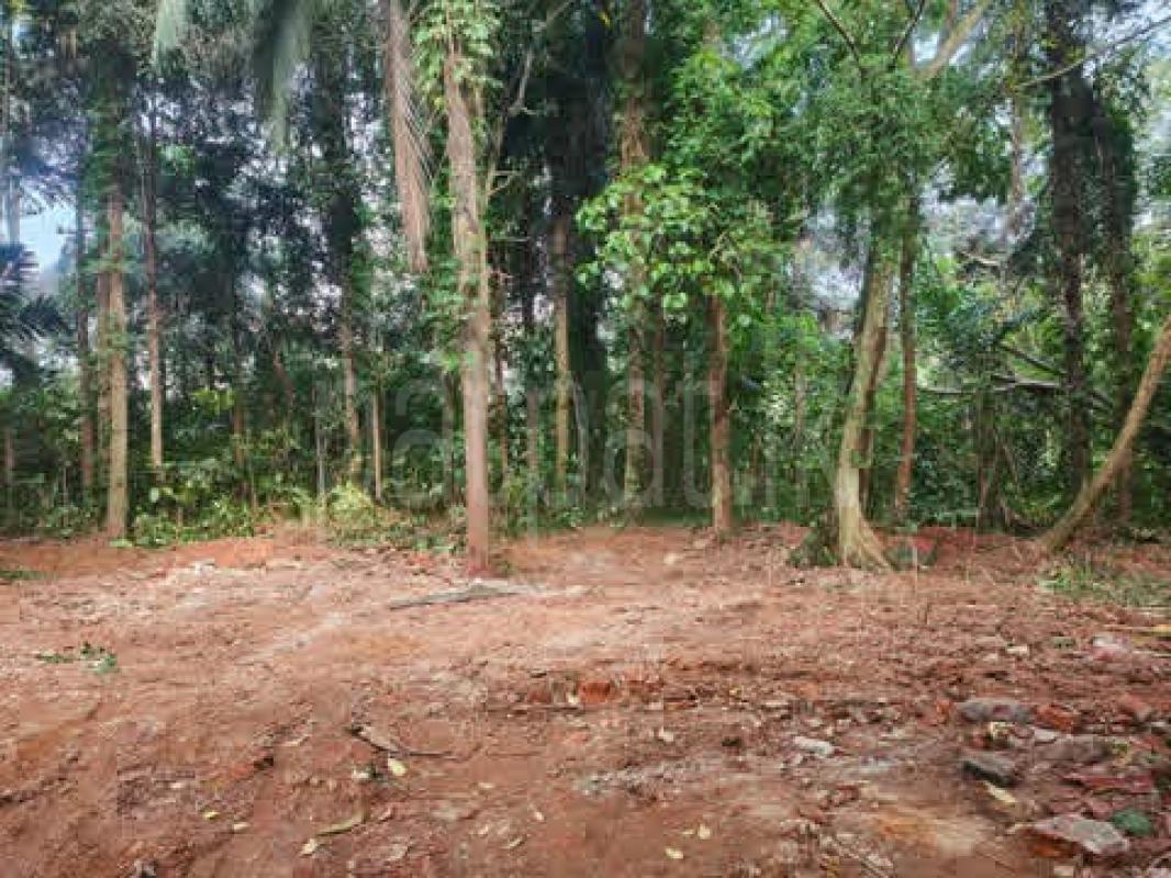 Residential Land for Sale in Ahungalla