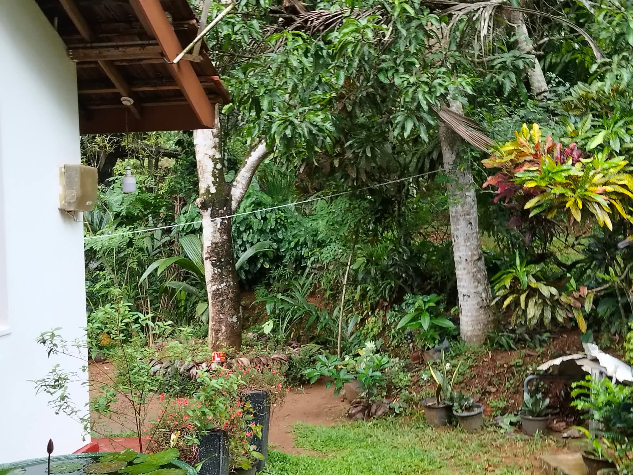 House for Sale in Radawana