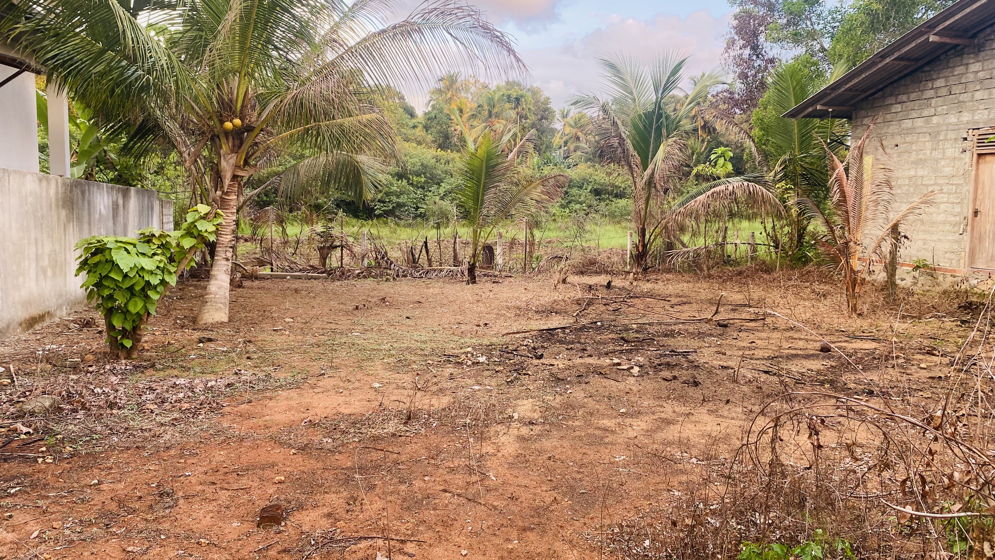 Residential Land for Sale in Wadduwa