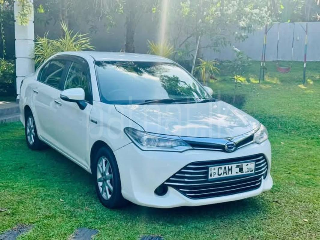 Advertisement image 6