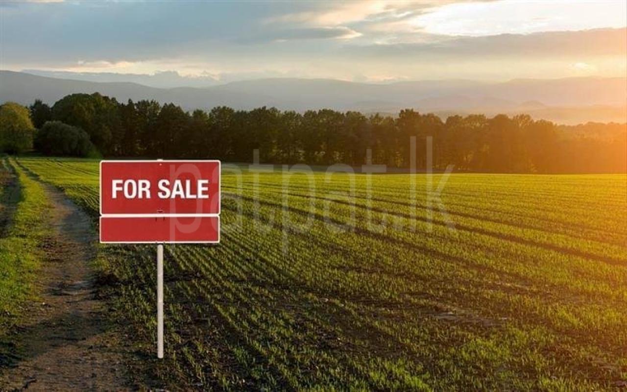 Commercial Land for Sale in Wattala