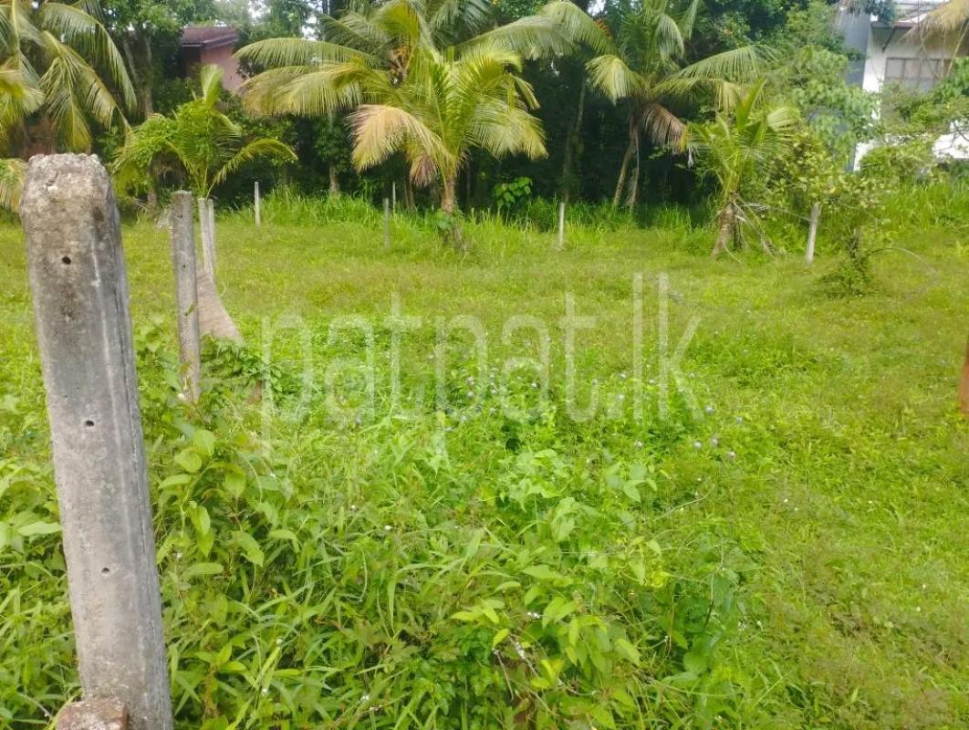 Agricultural Land for Sale in Mawathagama
