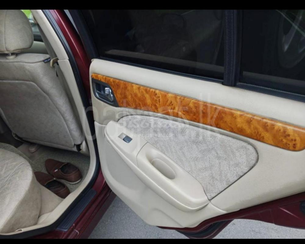 Advertisement image 4