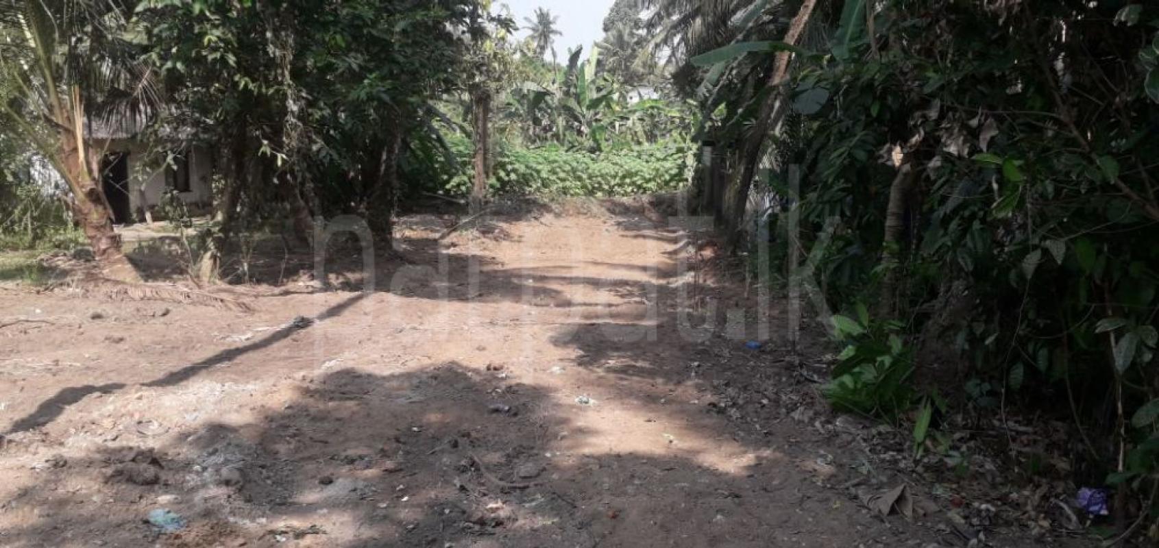 Residential Land for Sale in Malabe ads-image-1