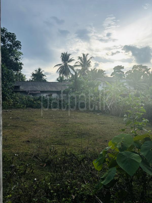 Residential Land for Sale in Bandaragama