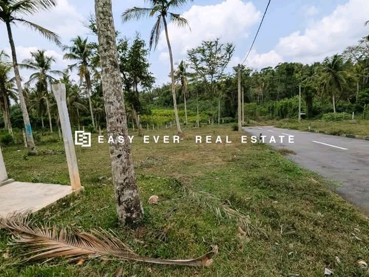 Commercial Land for Sale in Kalagedihena