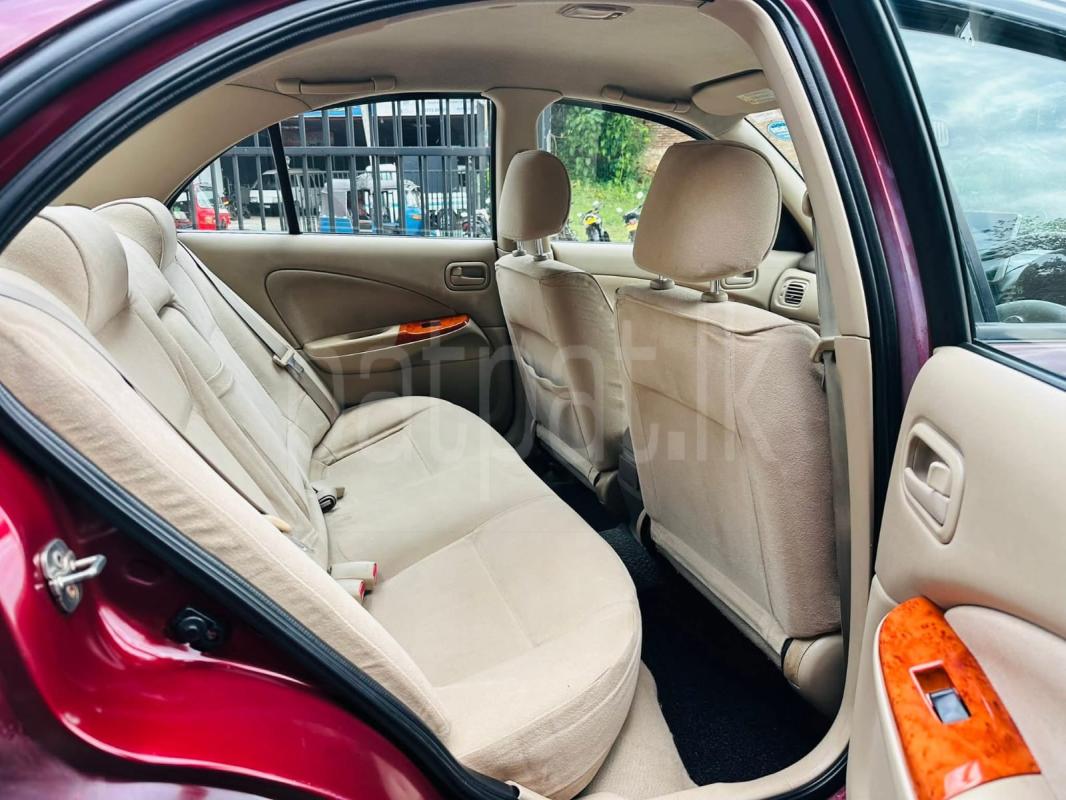 Advertisement image 6