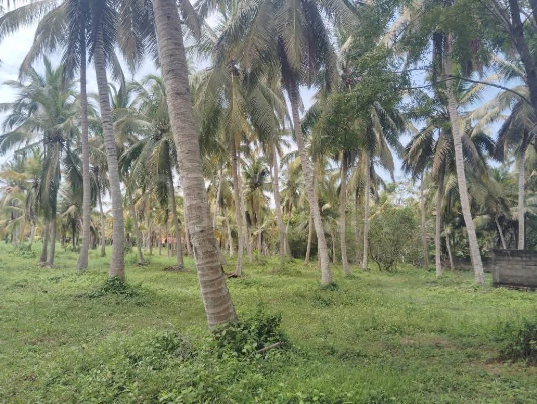 premium-listing-image