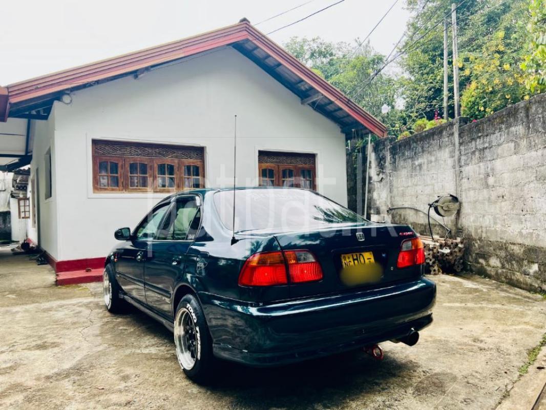 Advertisement image 4