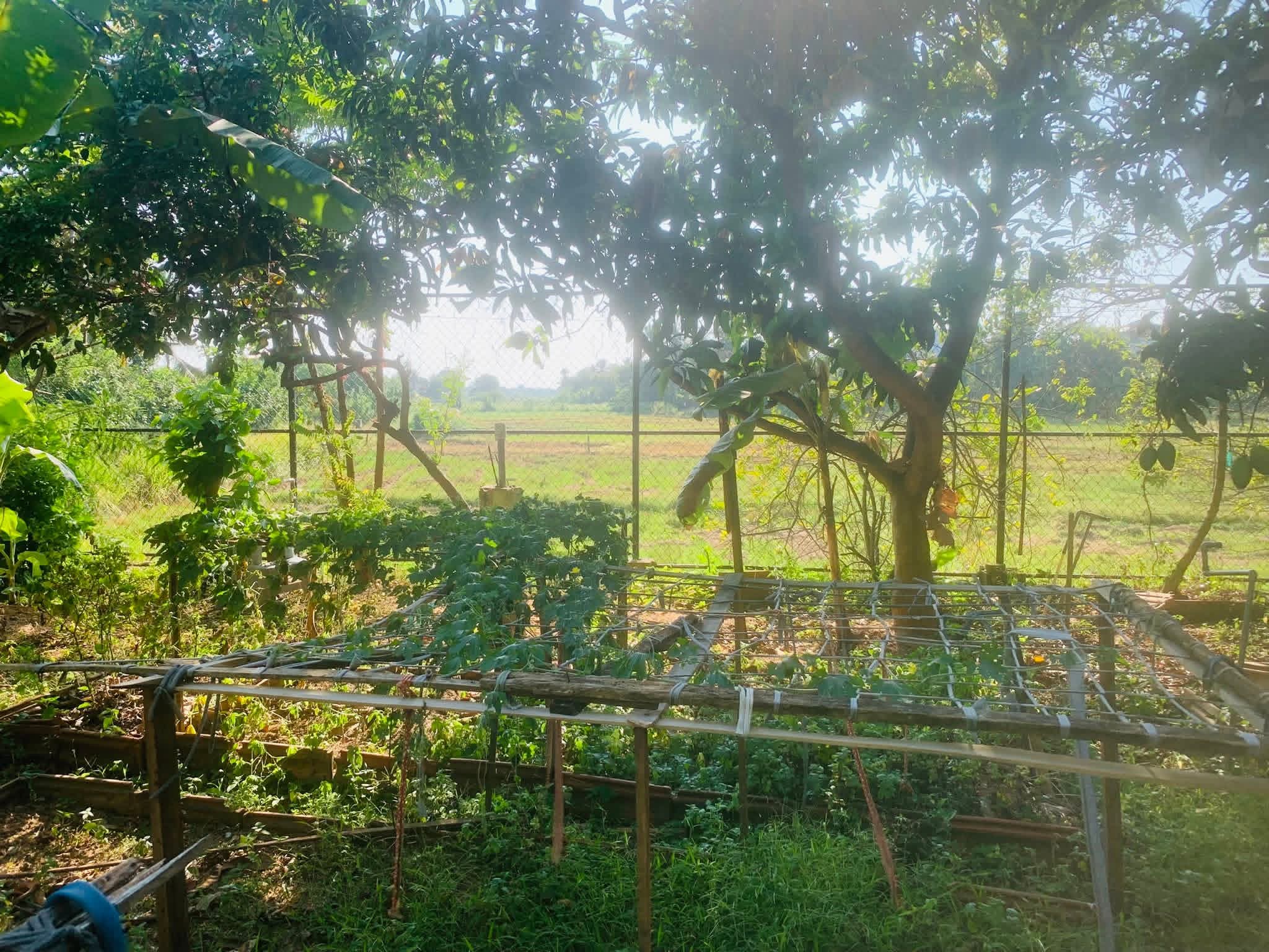 Residential Land for Sale in Maharagama