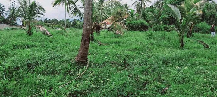 Residential Land for Sale in Kurunegala