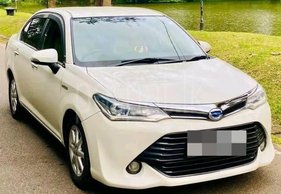 Advertisement image 1