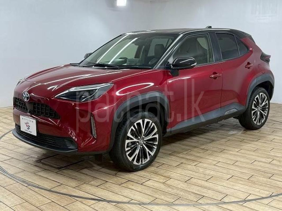 Advertisement image 1