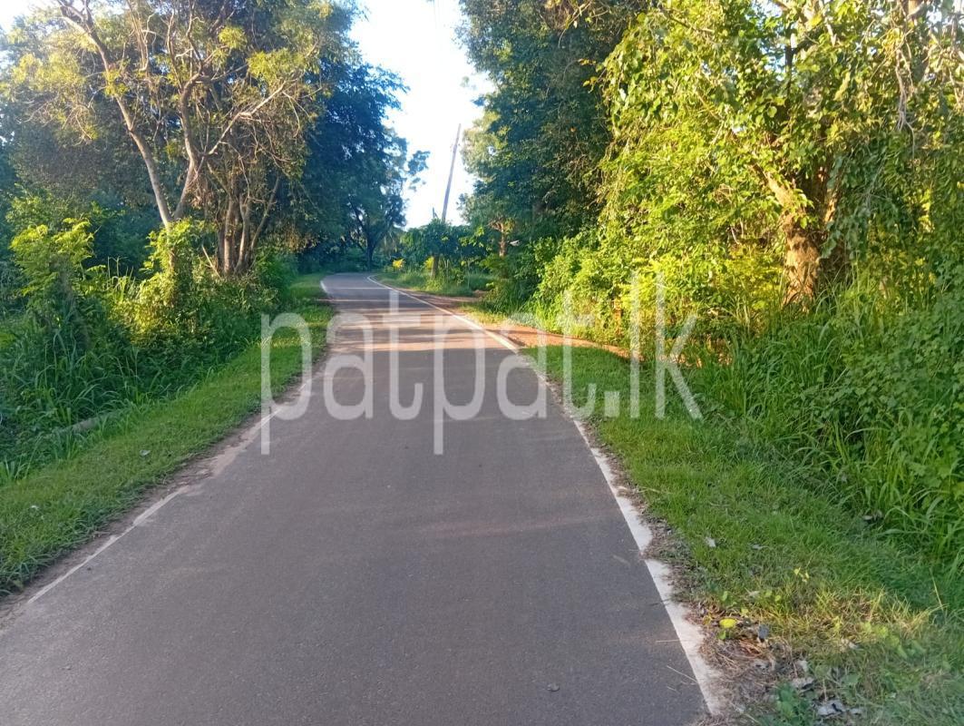 Residential Land for Sale in Mihintale