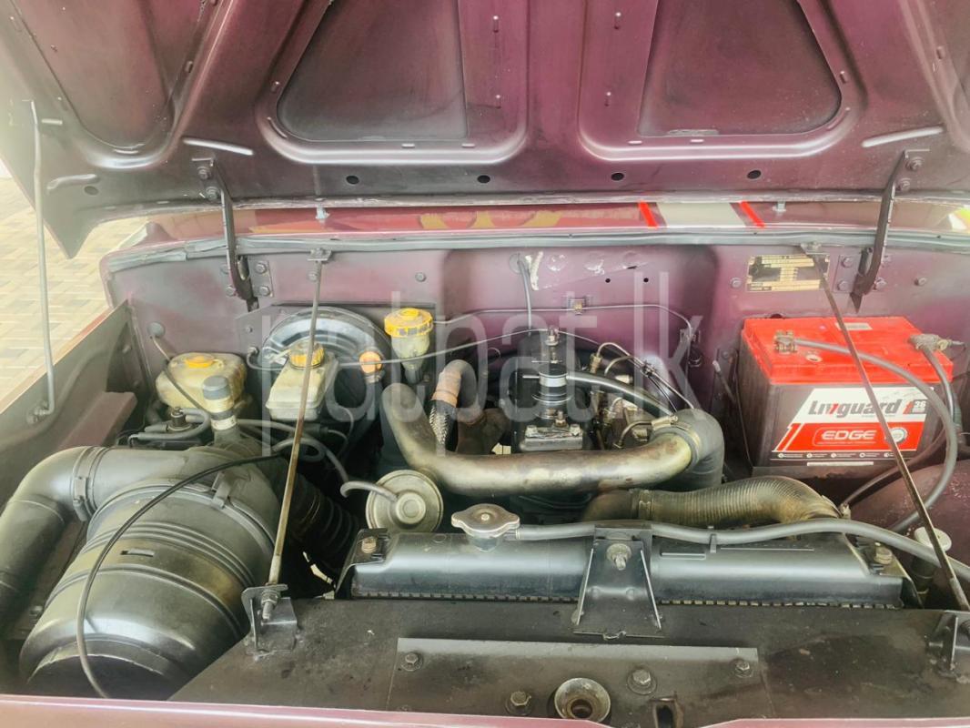 Advertisement image 4