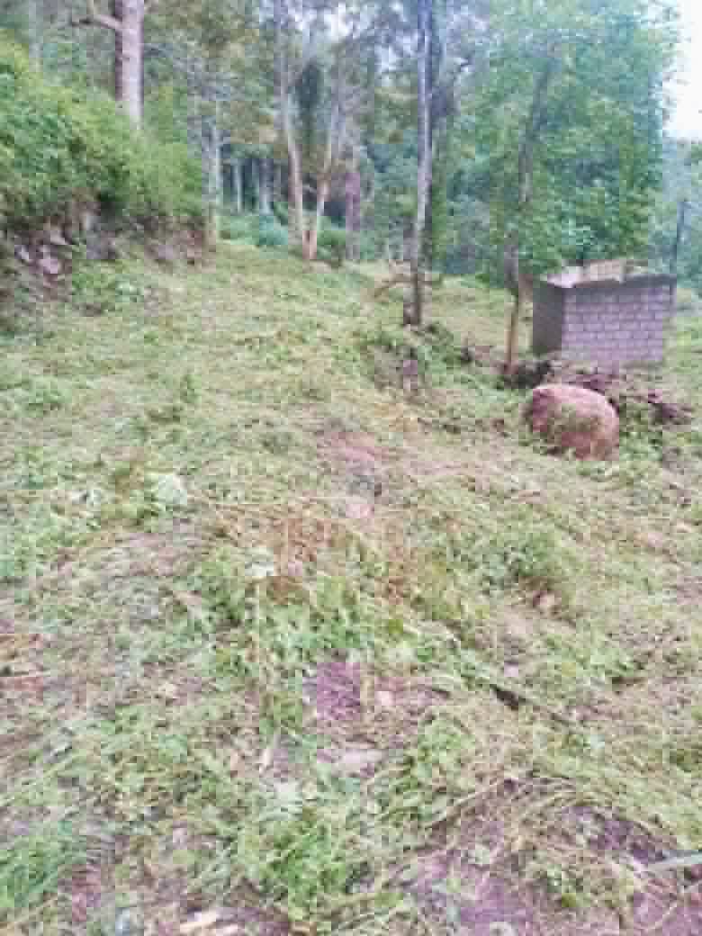 Residential Land for Sale in Haldummulla