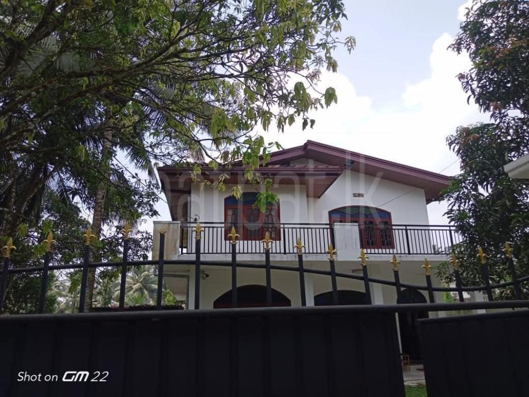 House for Rent in Homagama