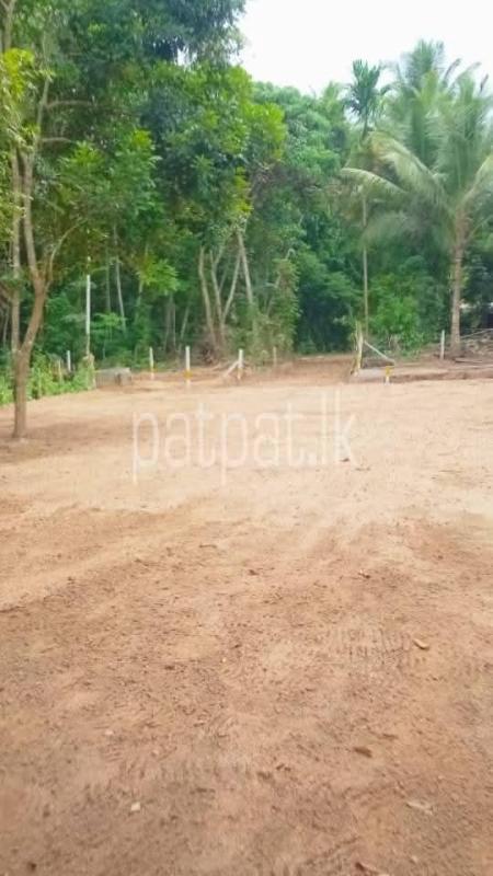 Commercial Land for Sale in Divulapitiya