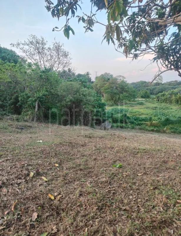 Residential Land for Sale in Meepe ads-image-1