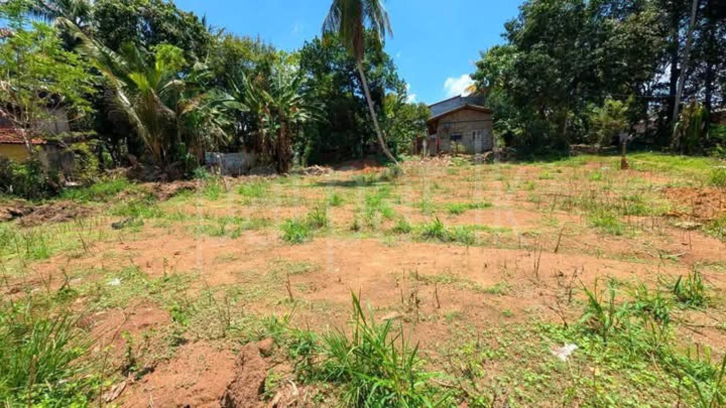 Commercial Land for Sale in Yakkala