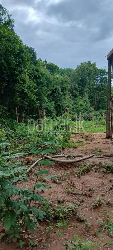 Residential Land for Sale in Kataragama
