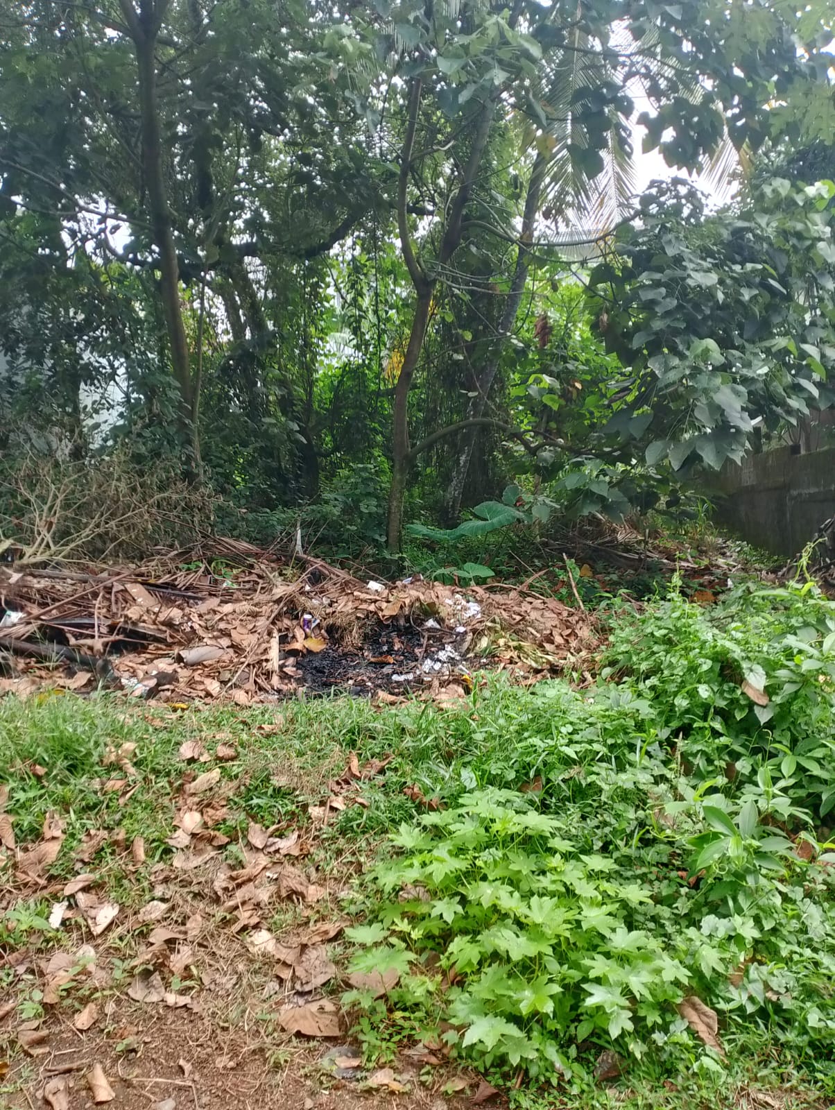 Residential Land for Sale in Panadura
