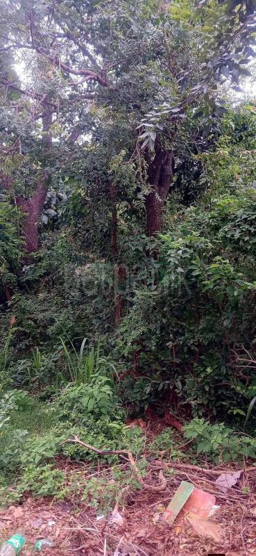 Residential Land for Sale in Kataragama