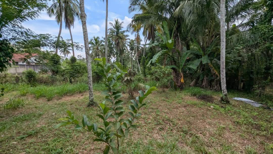 House for Sale in Udugampola