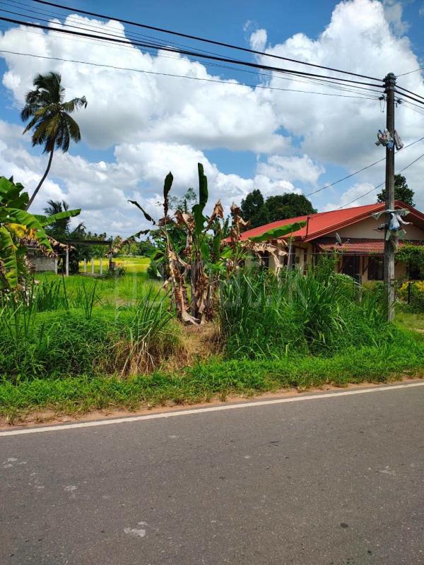 Residential Land for Sale in Polgahawela