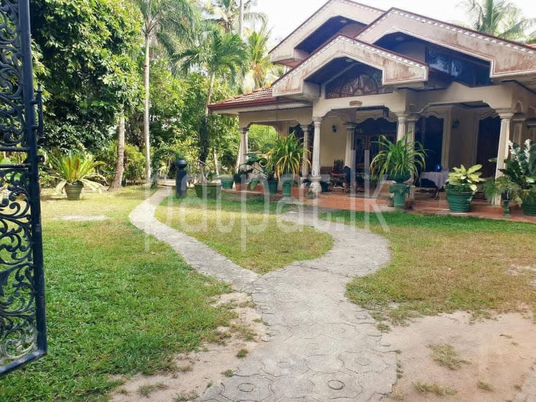 House for Sale in Nattandiya