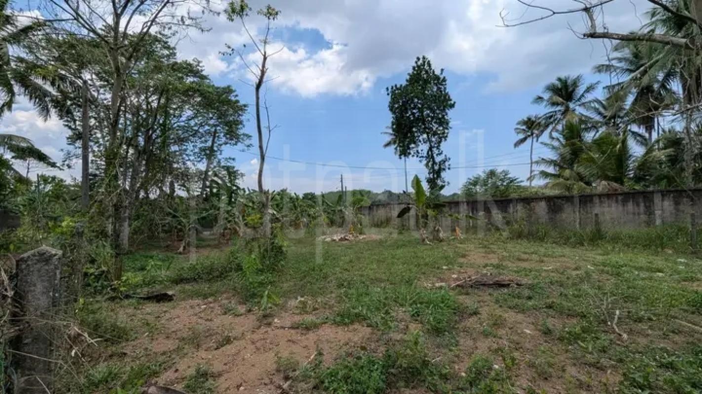 Commercial Land for Sale in Minuwangoda