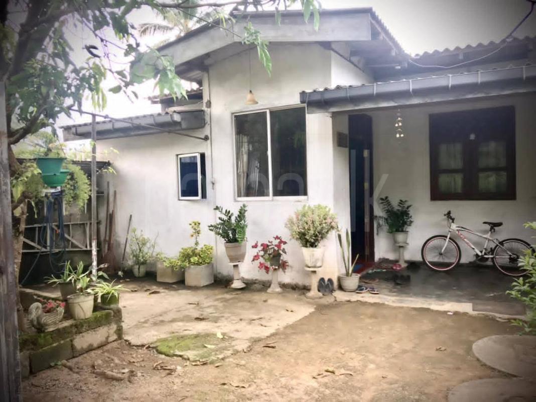 House for Sale in Homagama