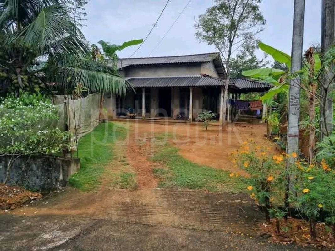 Residential Land for Sale in Thalayadi ads-image-1