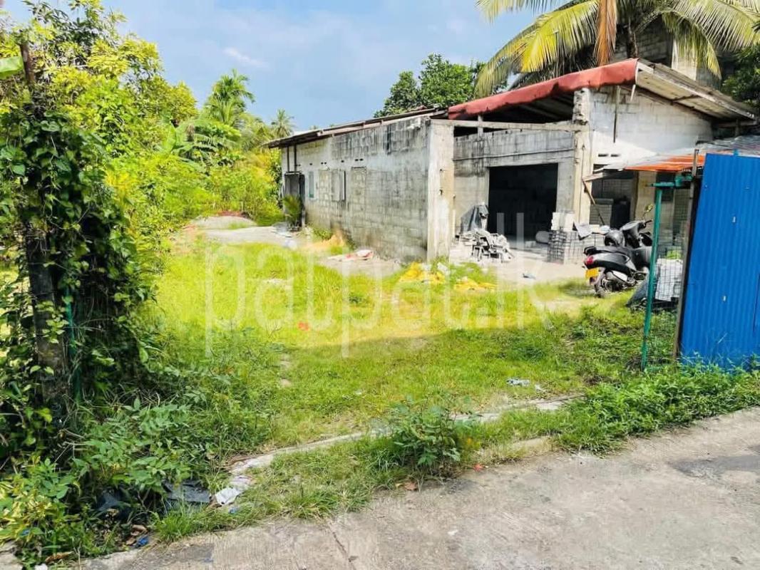 Advertisement image 1