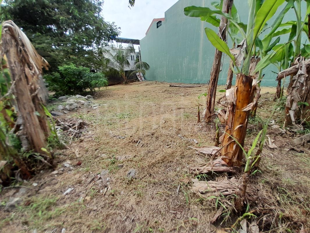 Residential Land for Sale in Nugegoda