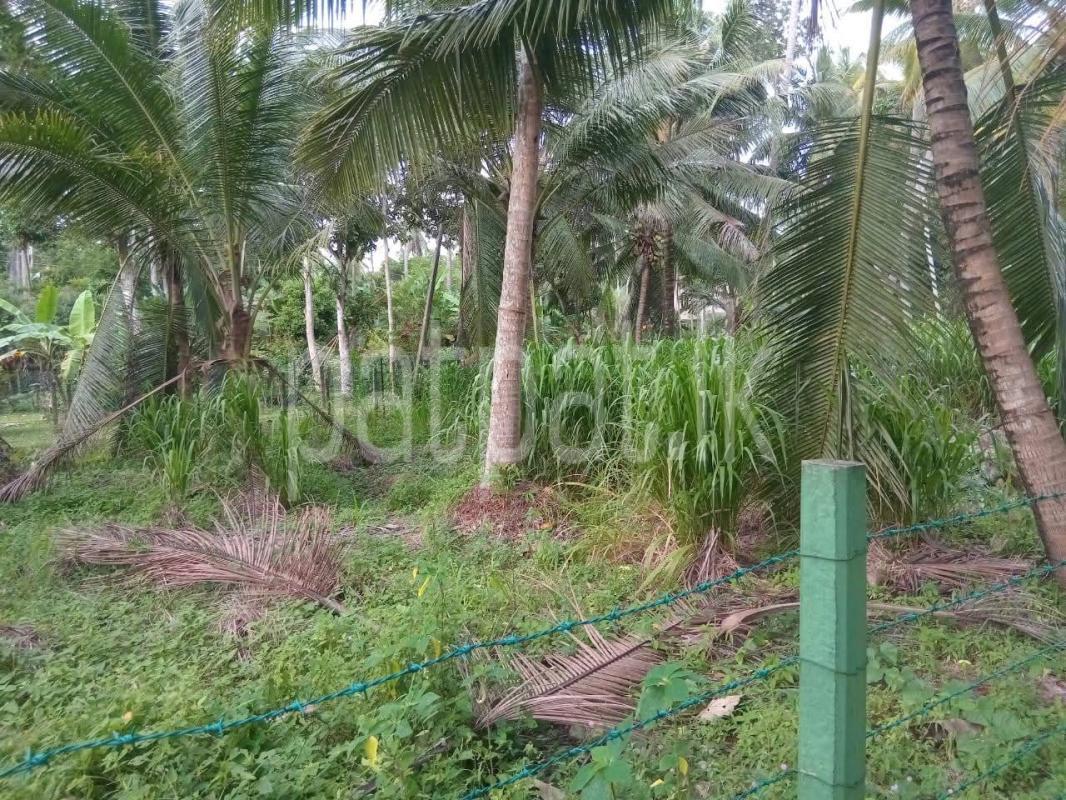 Residential Land for Sale in Badalgama