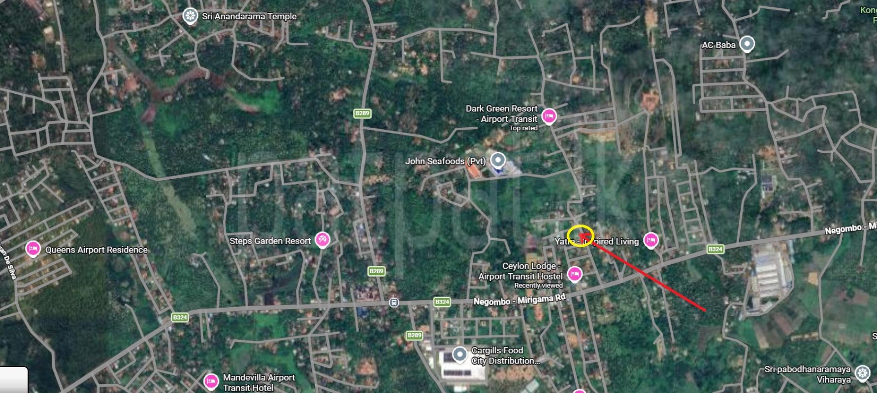 Advertisement image 1