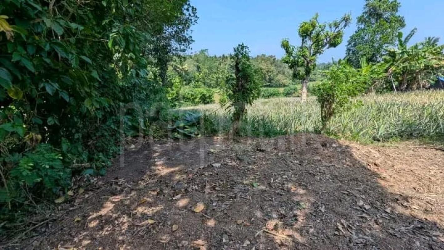 Commercial Land for Sale in Kirindiwela