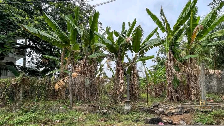 Commercial Land for Sale in Rajagiriya