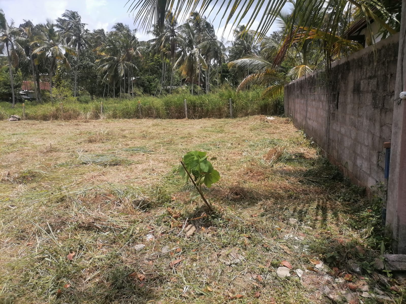 Commercial Land for Sale in Yakkala