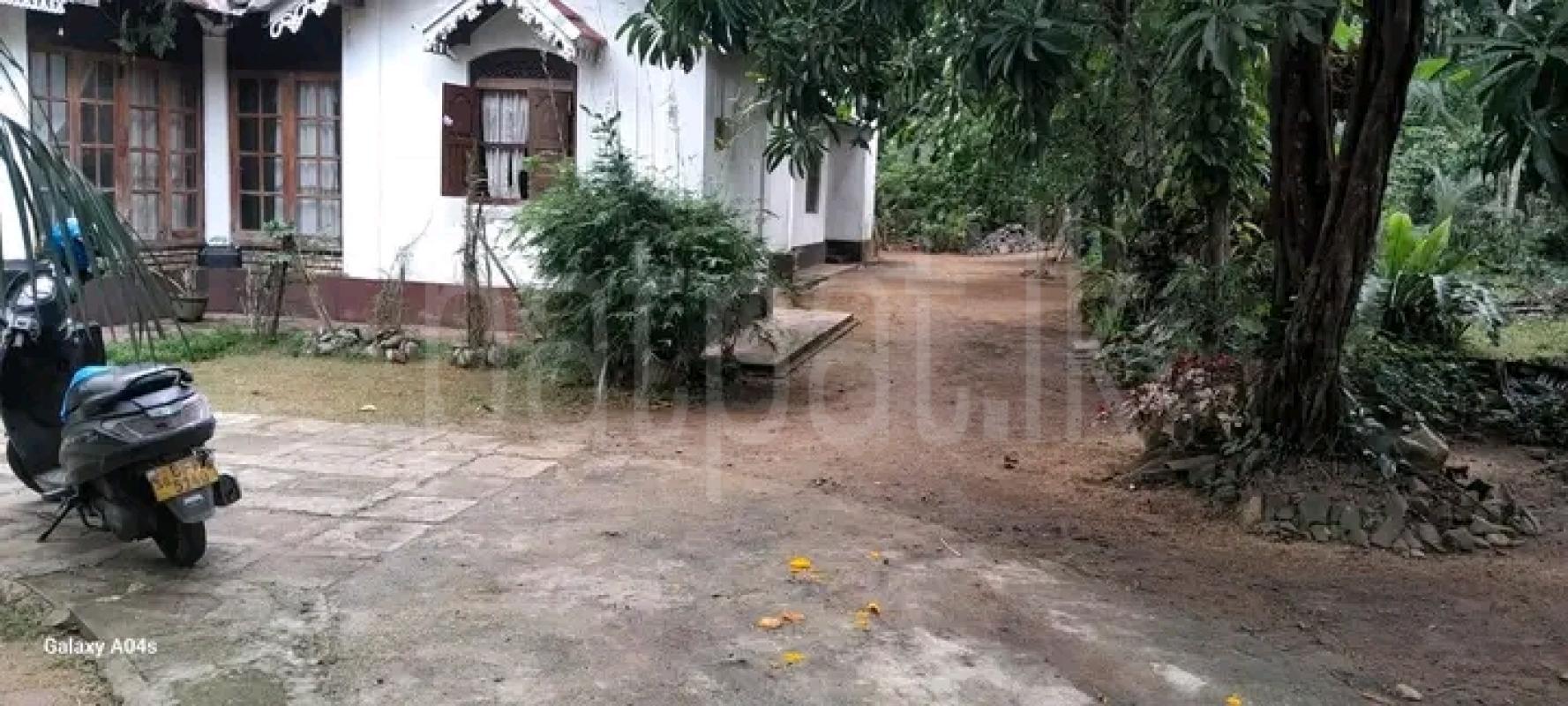 Commercial Land for Sale in Rambukkana