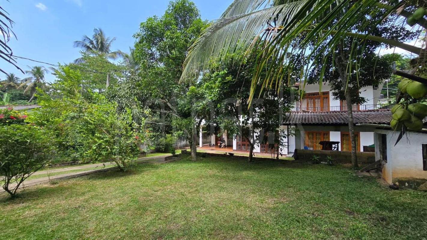 premium-listing-image