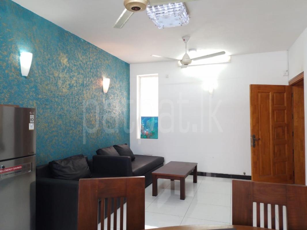 House for Rent in Dehiwala ads-image-1